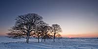 2710 Dawn On Longstone Edge DL Chris Gilbert, Ravenseye Gallery, Peak District, Photographs, Courses